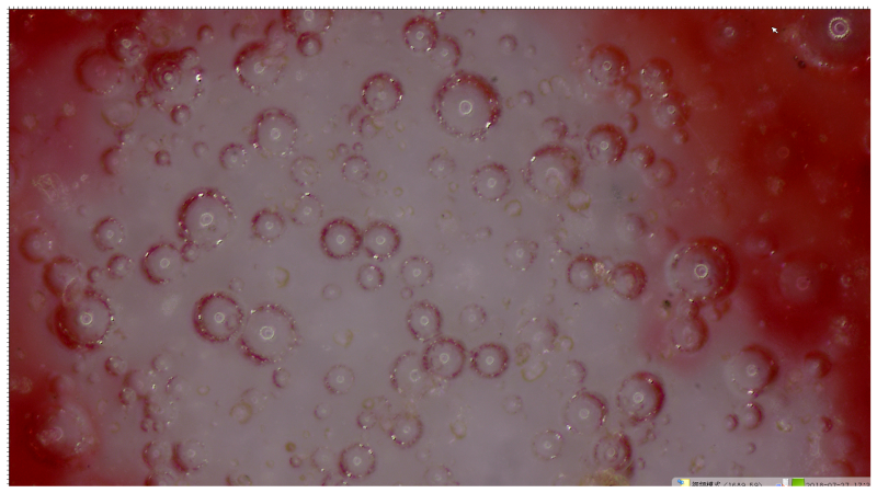 多功能物证检验仪 多功能物证检验仪